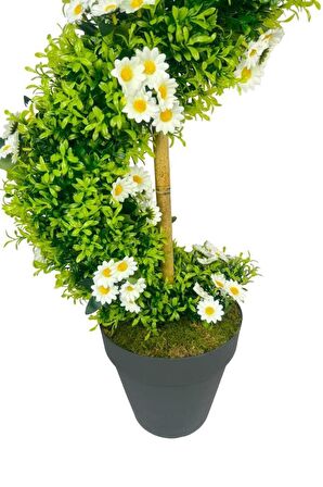Yapay Ağaç Doğal Papatyalı Spiral Şimşir Ağacı 160cm Bambu Saplı Salon Bitkisi
