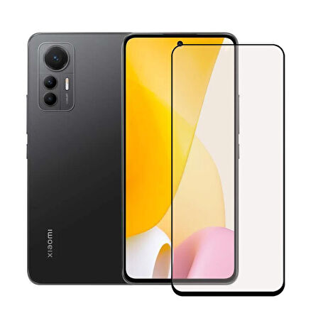 Bufalo Xiaomi 12 Lite ESD Anti Static Cam Ekran Koruyucu