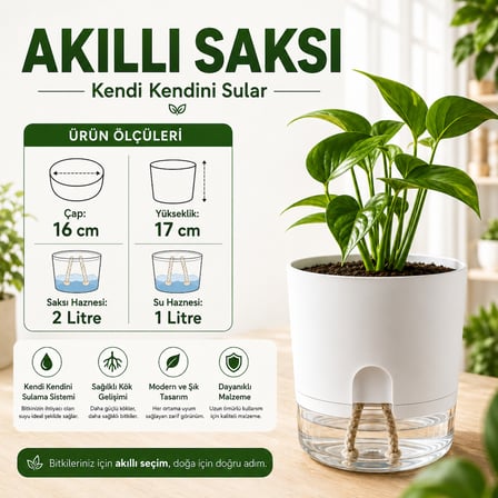 Akıllı Saksı Kendinden Sulamalı Fitilli Modern Dekoratif Saksı 2 Litre