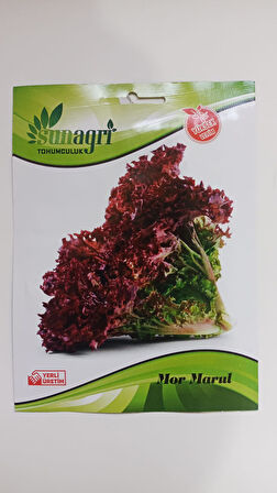 ByKurt Sunagri Mor Marul Tohumu - Serin İklimler İçin Bahçe ve Sera Yetiştiriciliğine Uygun