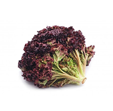 ByKurt Sunagri Mor Marul Tohumu - Serin İklimler İçin Bahçe ve Sera Yetiştiriciliğine Uygun