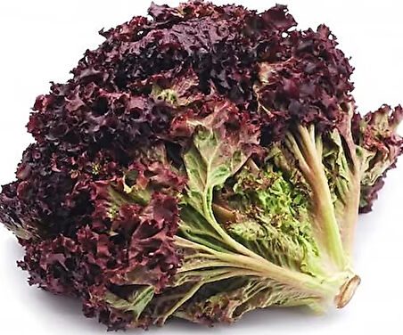 ByKurt Sunagri Mor Marul Tohumu - Serin İklimler İçin Bahçe ve Sera Yetiştiriciliğine Uygun