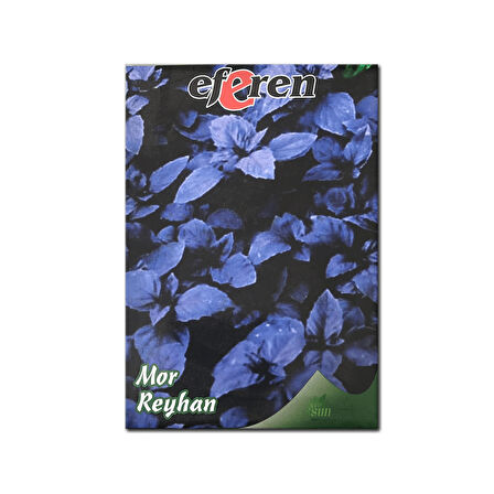 ByKurt Sunagri Mor Reyhan Tohumu - Aromatik Mor Renkli Bahçeler İçin Çekici ve Lezzetli