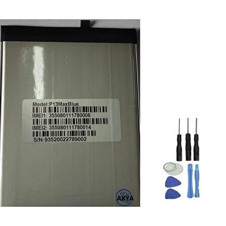 Reeder P13 Max Blue Pil Batarya ve Tamir Seti