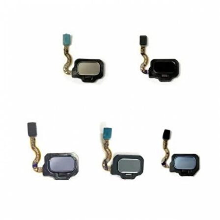 Samsung Galaxy S9 Orta Tuş Filmi G960F