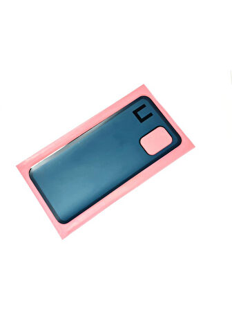 Xiaomi Mi 10 Lite Arka Kapak Pil Kapağı (CAM)