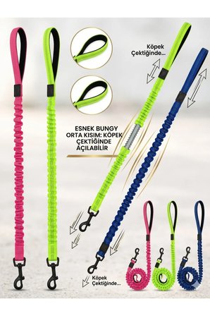 Neon Esnek BUNGY Köpek Sevk & Gezdirme Kayışı