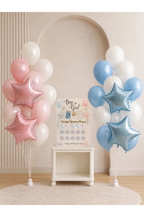 Dehaparty Cinsiyet Öğrenme Partisi Süsleme Seti Çok Renkli Balon ve Folyo Balon Konsepti