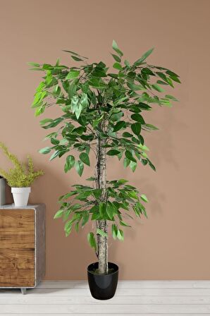 Yapay Ağaç Benjamin 2 Gövdeli Çalılı 2 Katlı 120x70cm Siyah Plastik Saksılı