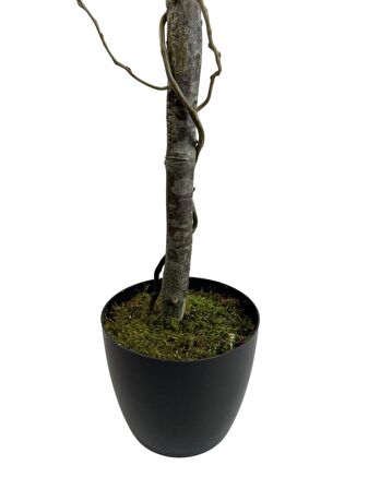 Yapay Ağaç Bahardalı Ağacı Sarı Japon Kiraz Çiçeği Sakura Çiçeği 127x70cm Siyah Plastik Saksılı