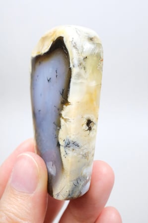 Nadir Renkli Merlinite Dilimi (İki Taraflı Cila Honey & Mavi Dendritik Opal) - Manzara Koleksiyon Taşı Numunesi (65g)