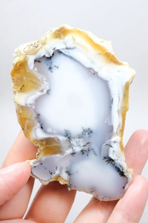 Dendritik Bal Opal Dilimi: Cilalanmış Merlinite Taşı (90g)