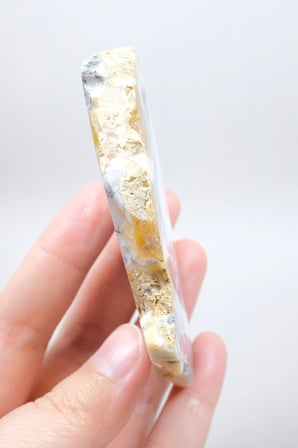 Dendritik Bal Opal Dilimi: Cilalanmış Merlinite Taşı (90g)