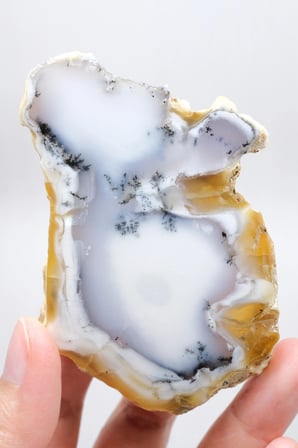 Dendritik Bal Opal Dilimi: Cilalanmış Merlinite Taşı (90g)