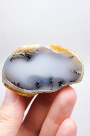 Dendritic Honey Opal Merlinite: Polished Free Form Stone