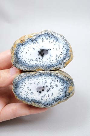 Mavi ve Kar Beyaz Merlinit - Dendritik Opal, 213g