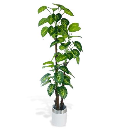 Yapay Çiçek Difenbahya Sarı Yeşil 3Katlı 190cm 54Yaprak Gümüş Kemerli Beyaz Saksıda Yapay Bitki