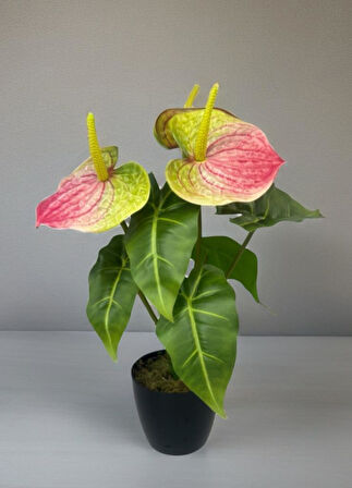 Yapay Çiçek Antoryum Siyah Saksılı Yapay Bitki Salon Çiçeği Pembe Yeşil 