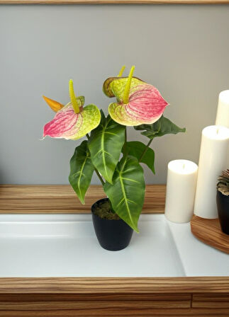 Yapay Çiçek Antoryum Siyah Saksılı Yapay Bitki Salon Çiçeği Pembe Yeşil 