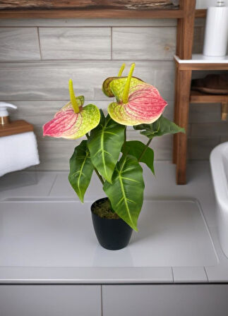 Yapay Çiçek Antoryum Siyah Saksılı Yapay Bitki Salon Çiçeği Pembe Yeşil 