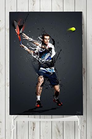 Andy Murray Posteri 3 