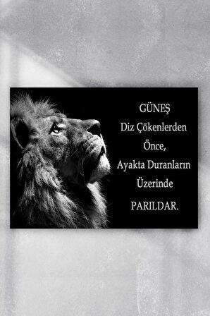 Aslan Girişimcilik Poster 4 