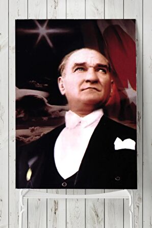Mustafa Kemal Atatürk Posteri 6