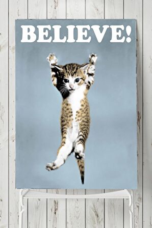 Believe Cat Hayvan Posteri 