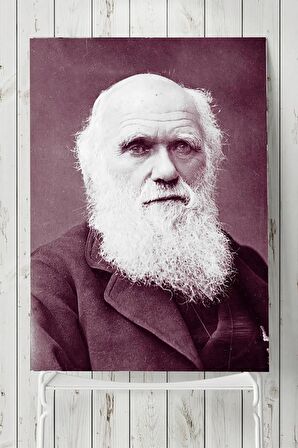 Charles Darwin Bilimsel Poster 2