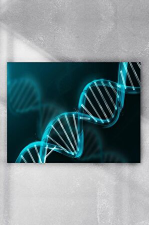 Dna Bilimsel Poster 