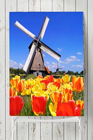 Hollanda Manzara Posteri 