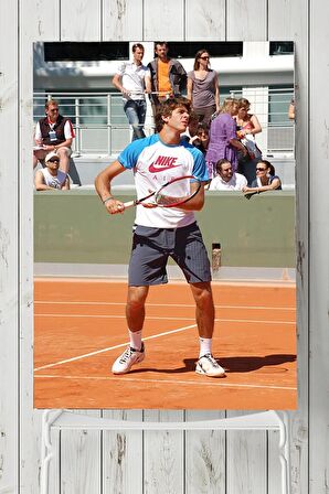 Juan Martin Del Potro Posteri 