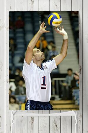 Lloy Ball Posteri 
