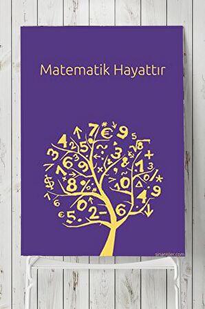 Matematik Hayattır Eğitim Posteri 