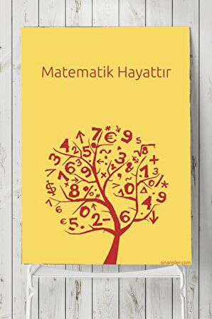 Matematik Hayattır Eğitim Posteri 2 