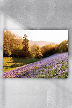 Ilkbahar Manzara Poster 6 