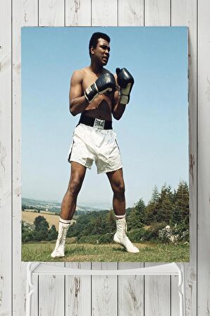 Muhammed Ali Dövüş Posteri 2 