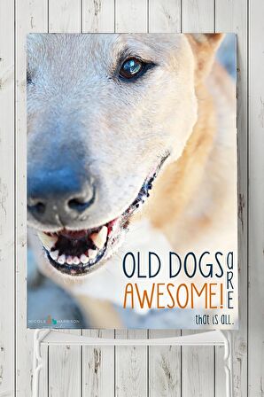 Old Dog Hayvan Posteri 