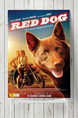 Red Dog Hayvan Posteri 