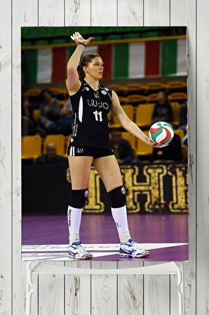 Hristina Ruseva Posteri 