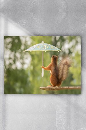 Sincap Eğlenceli Mizahi Poster