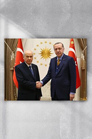 Cumhur Ittifakı Posteri, Recep Tayyip Erdoğan, Devlet Bahçeli Poster, Afiş