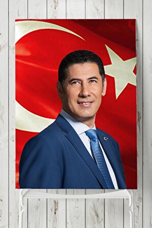 Sinan Oğan Poster, Afiş