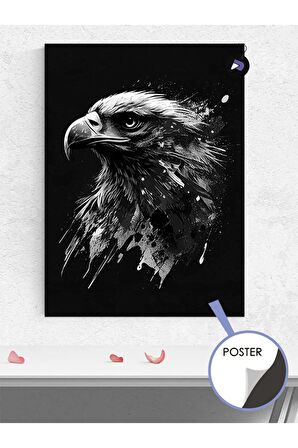 Sİyah Beyaz Kartal Hayvan Poster - Afiş - Dekoratif Duvar Posteri