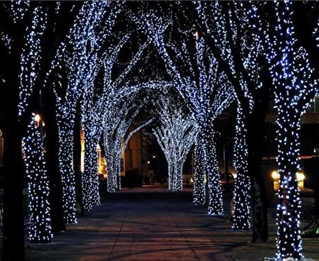 Fonksiyonlu Beyaz 5 Metre Dekor Led - Çam Ağacı Süsü Yılbaşı Süsü - Pirinç Led