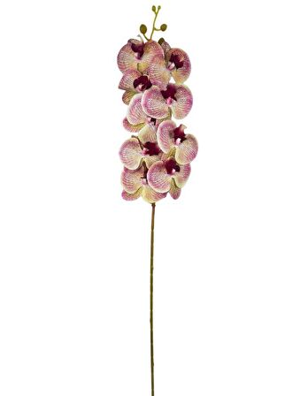 Yapay Çiçek Çilli Pembe Islak Orkide Gerçeksi Doku Uzun Dal 90 cm