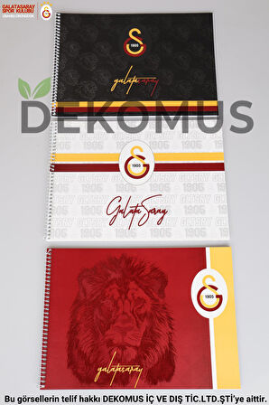 YENİ SEZON LİSANSLI GALATASARAY RESİM DEFTERİ 17*24 CM 15 YAPRAK