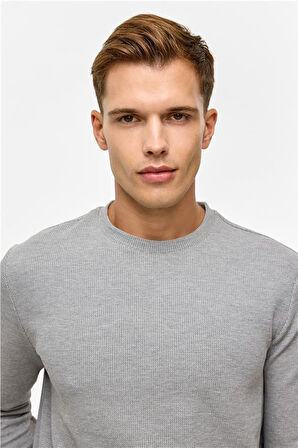 Gri Regular Düz Bisiklet Yaka Sweatshirt