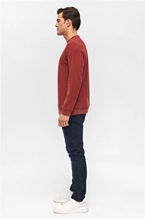 Açık Kahverengi Regular Düz Bisiklet Yaka Sweatshirt