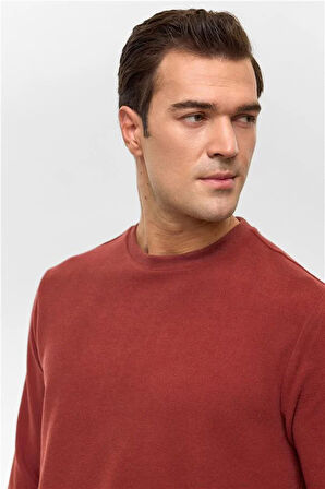 Açık kahverengi Regular Düz Bisiklet Yaka Sweatshirt